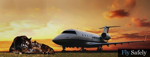   A Charter Jet is the Best Transportation Mode When Taking a Vacation to   Gerrard Smith International Airport
